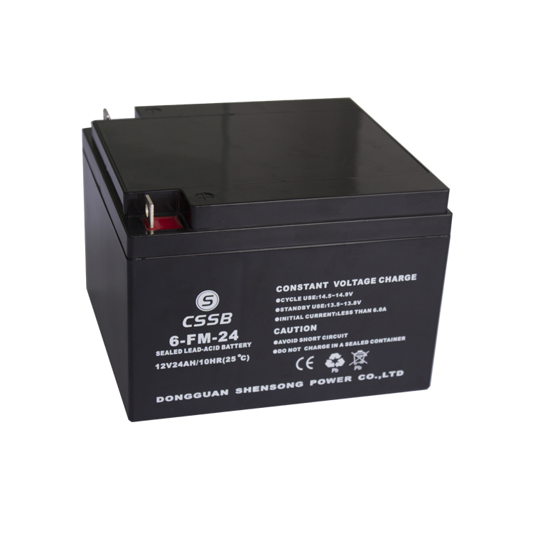 12V24.0AH Lead Acid Battery